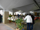 Mercato agricolo natalizio domenicale