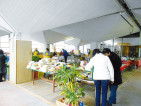 Mercato agricolo natalizio domenicale2