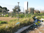 area cani Parco Via Chiodelli (2) - Ambra