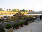 complanari03