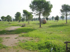 parco centocelle 2015